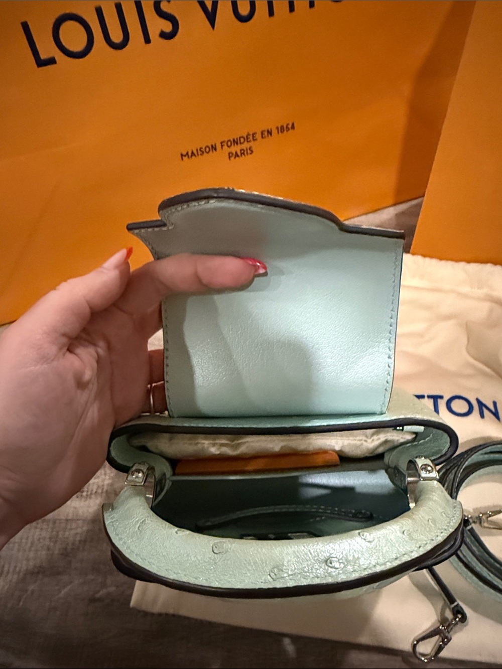 Louis Vuitton Capucines Mini Bag Exotic Ostrich in Mint Green - Picture 8 of 15